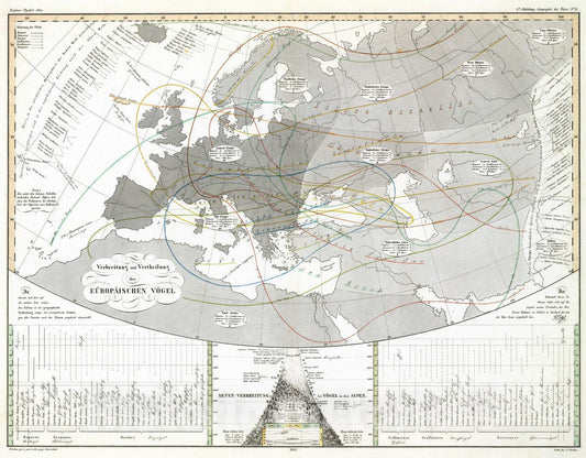 Historic Map : 1845 Verbreitung und Vertheilung der Europaischen Vogel. - Vintage Wall Art