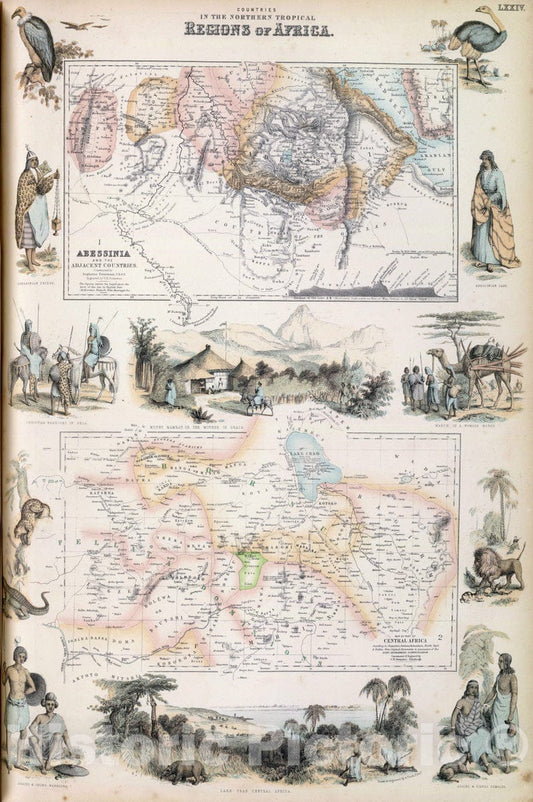 Historic Map : 1872 Countries In The Northern Tropical Regions of Africa. - Vintage Wall Art