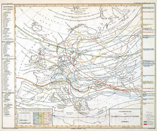 Historic Map : 1844 Verbreitung der Mammalia oder Saugethiere in Europa. - Vintage Wall Art