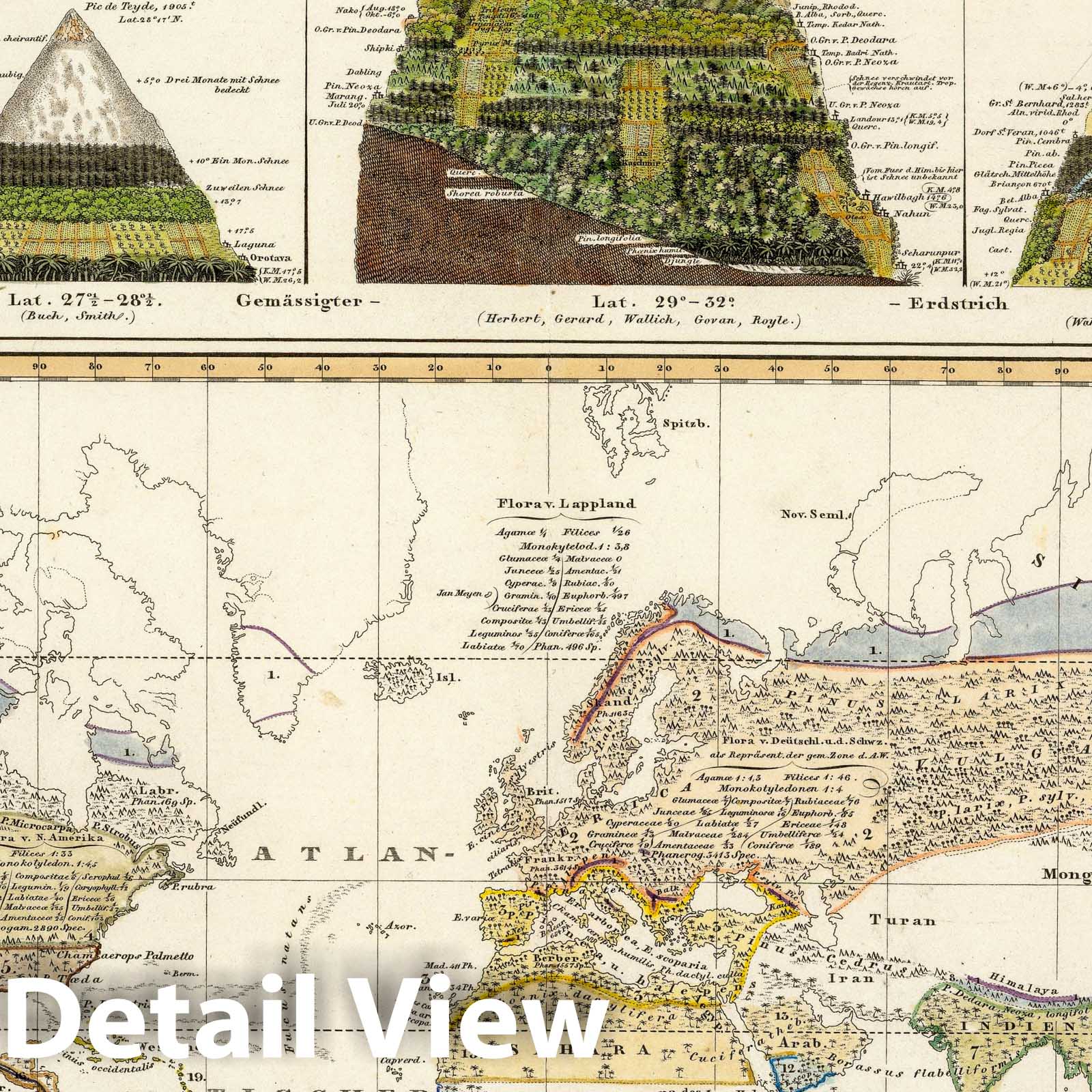 World - Vegetation Distribution, 1838 - Historical Map Print