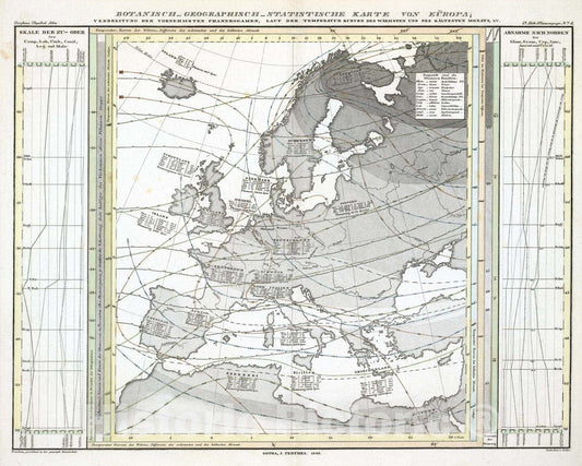Historic Wall Map : 1840 Botanisch-Geographisch-Statistische Karte Von Europa. - Vintage Wall Art