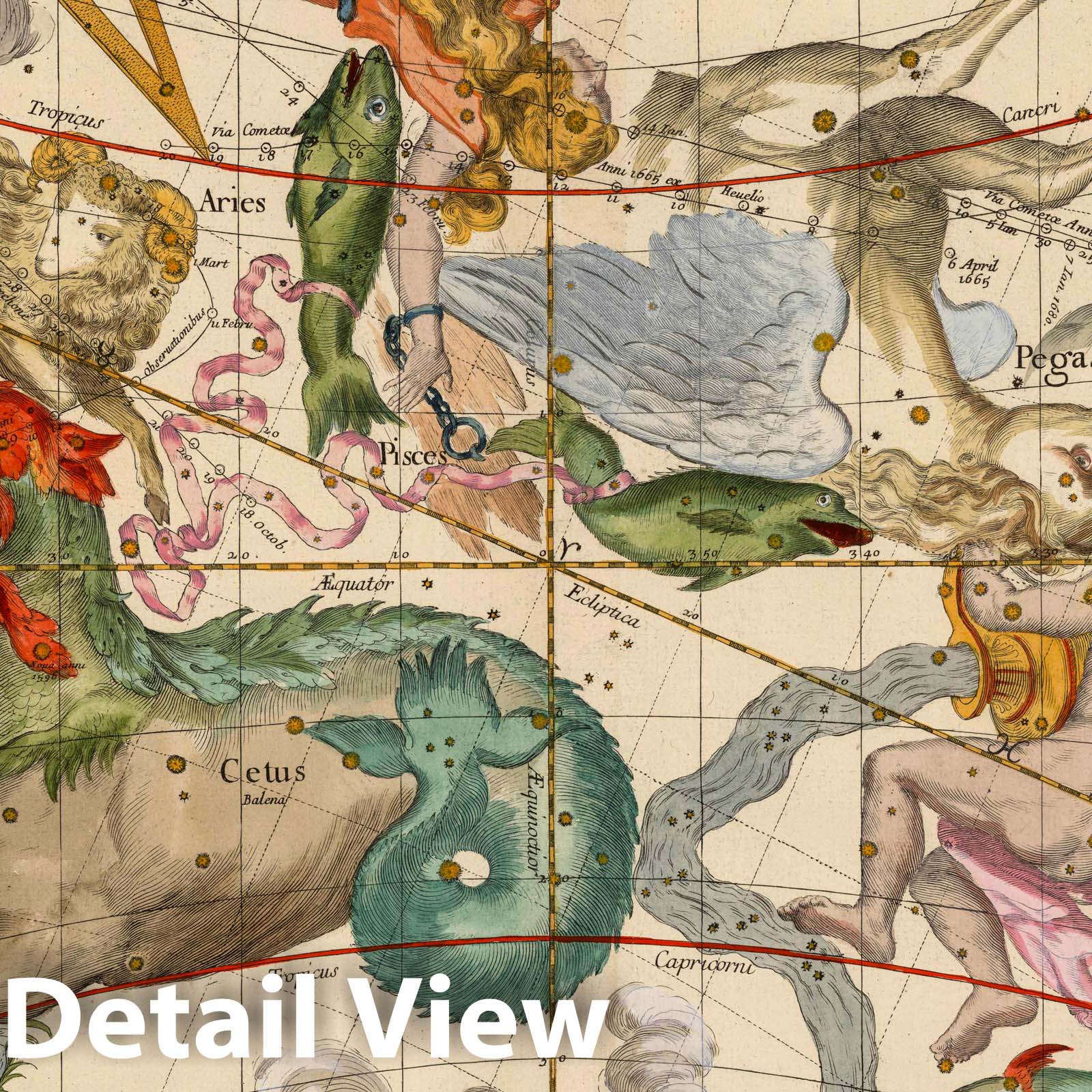 Cetus, Aquarius, Andromeda - Celestial Map, 1693