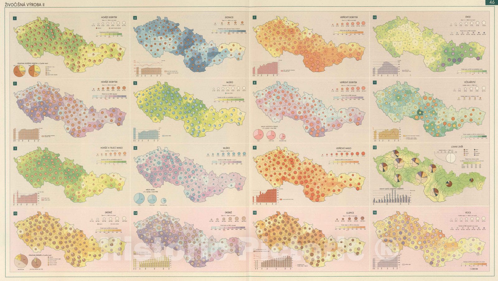 Historic Map : National Atlas - 1966 Animal Production II. - Vintage Wall Art