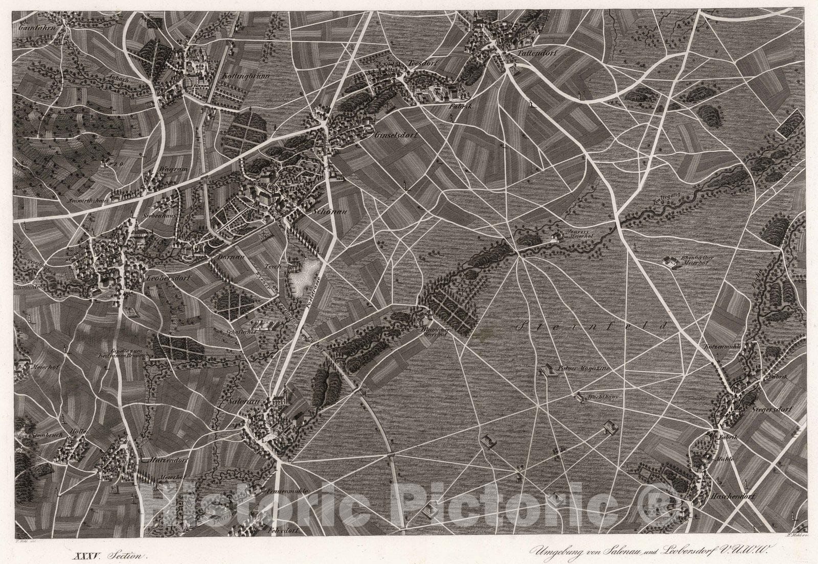 Historic Map : Austria, 1837 XXXV Section. Umgebung von Salenau und Leobersdorf V.U.W.W. F. Mehl del. F. Mehl sc. , Vintage Wall Art