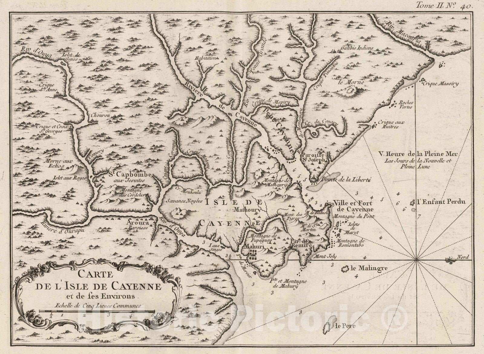 Historic Map : French Guiana , Cayenne (French Guiana), 1764 Carte de I'Isle de Cayenne et de ses environs , Vintage Wall Art