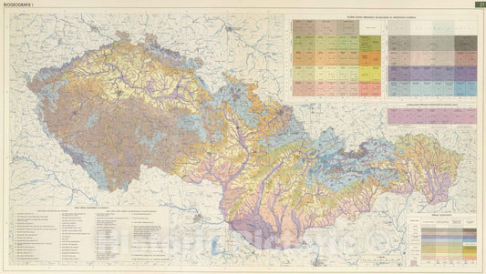 Historic Map : National Atlas - 1966 Biogeography I. - Vintage Wall Art