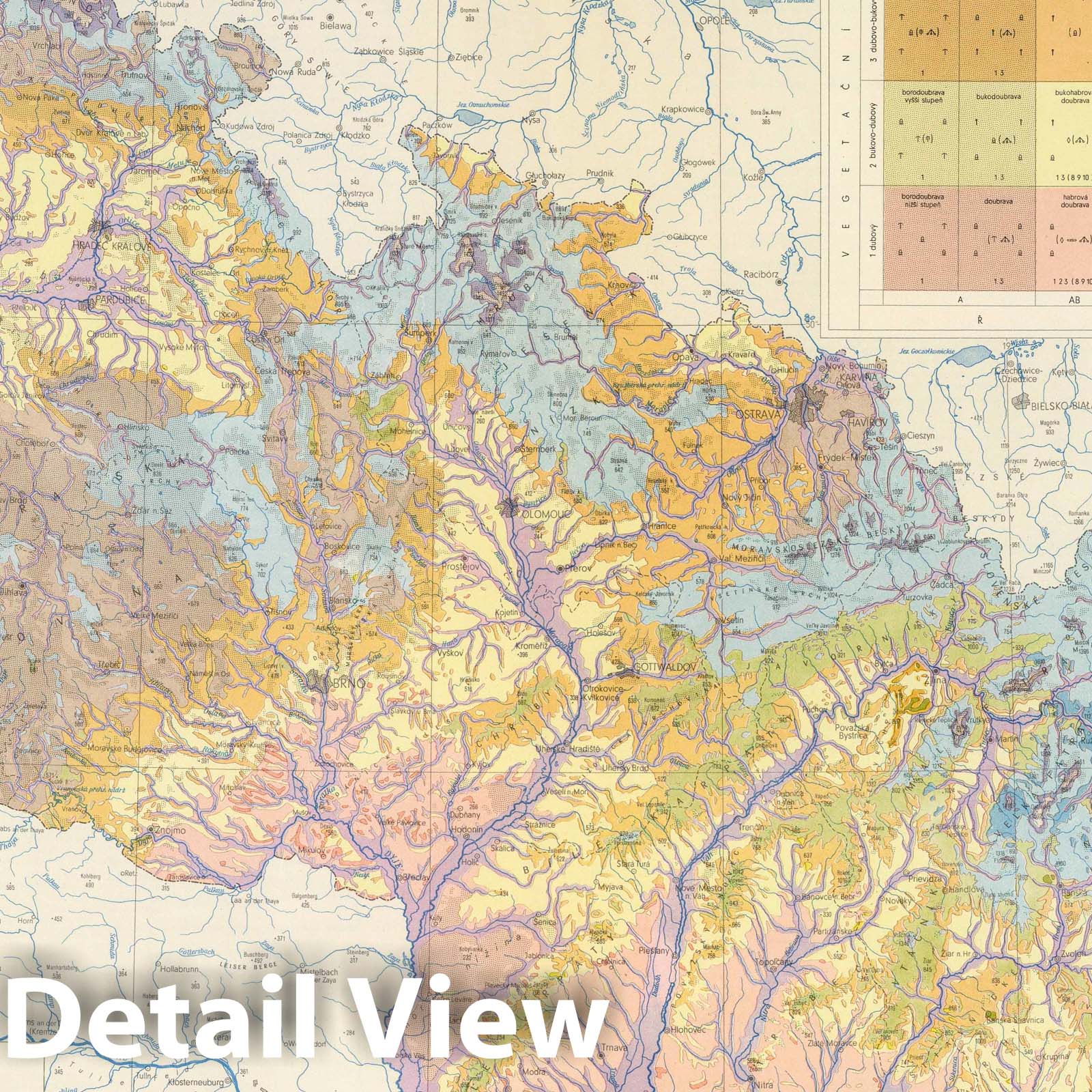 Czechoslovakia - Vegetation Map, 1966 - Historical Map Print