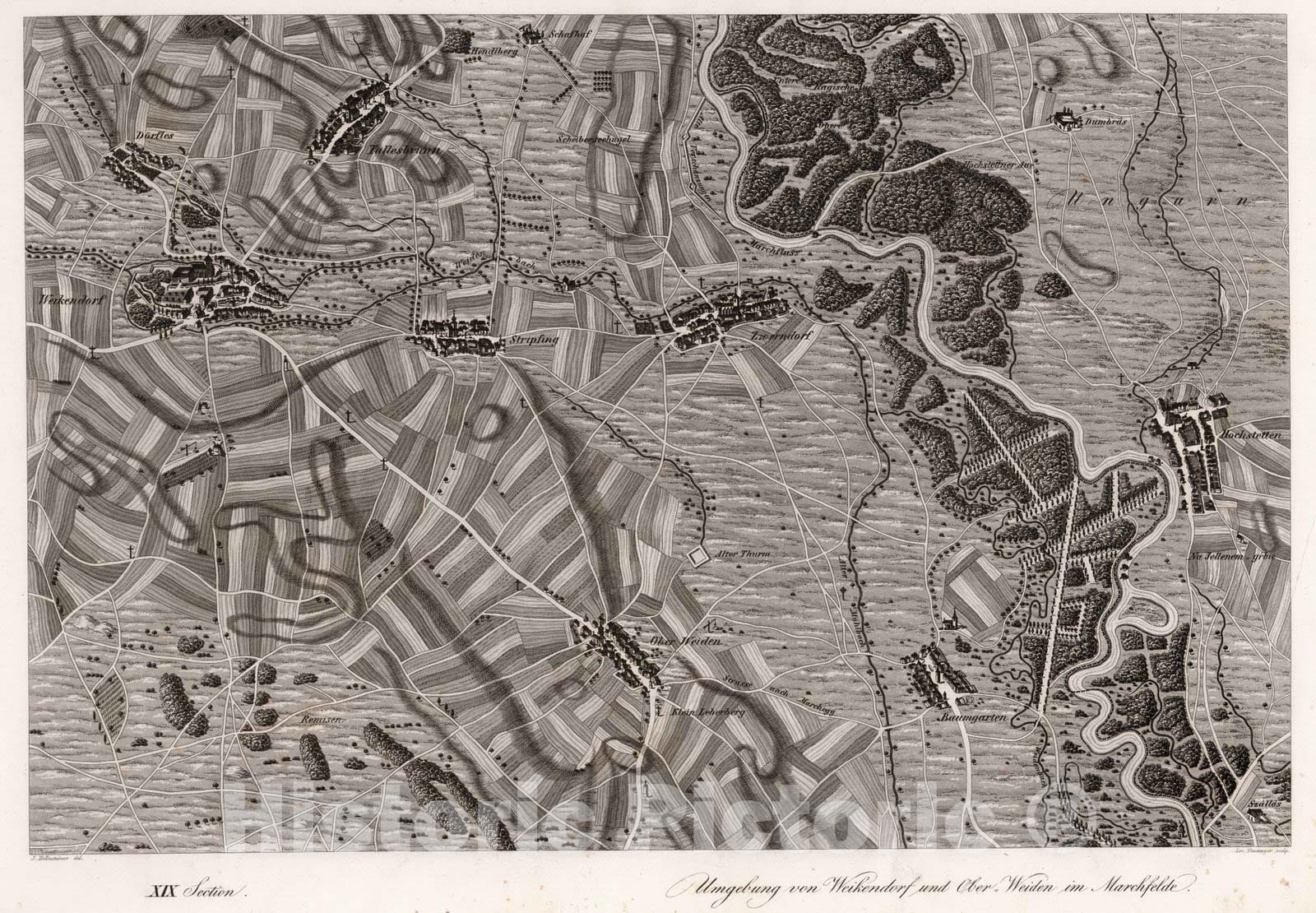 Historic Map : Austria, 1837 XIX Section. Umgebung von Weikendorf und Ober-Weiden im Marchfelde. J. Hollnsteiner del. Lor. Neumayer sculp. , Vintage Wall Art