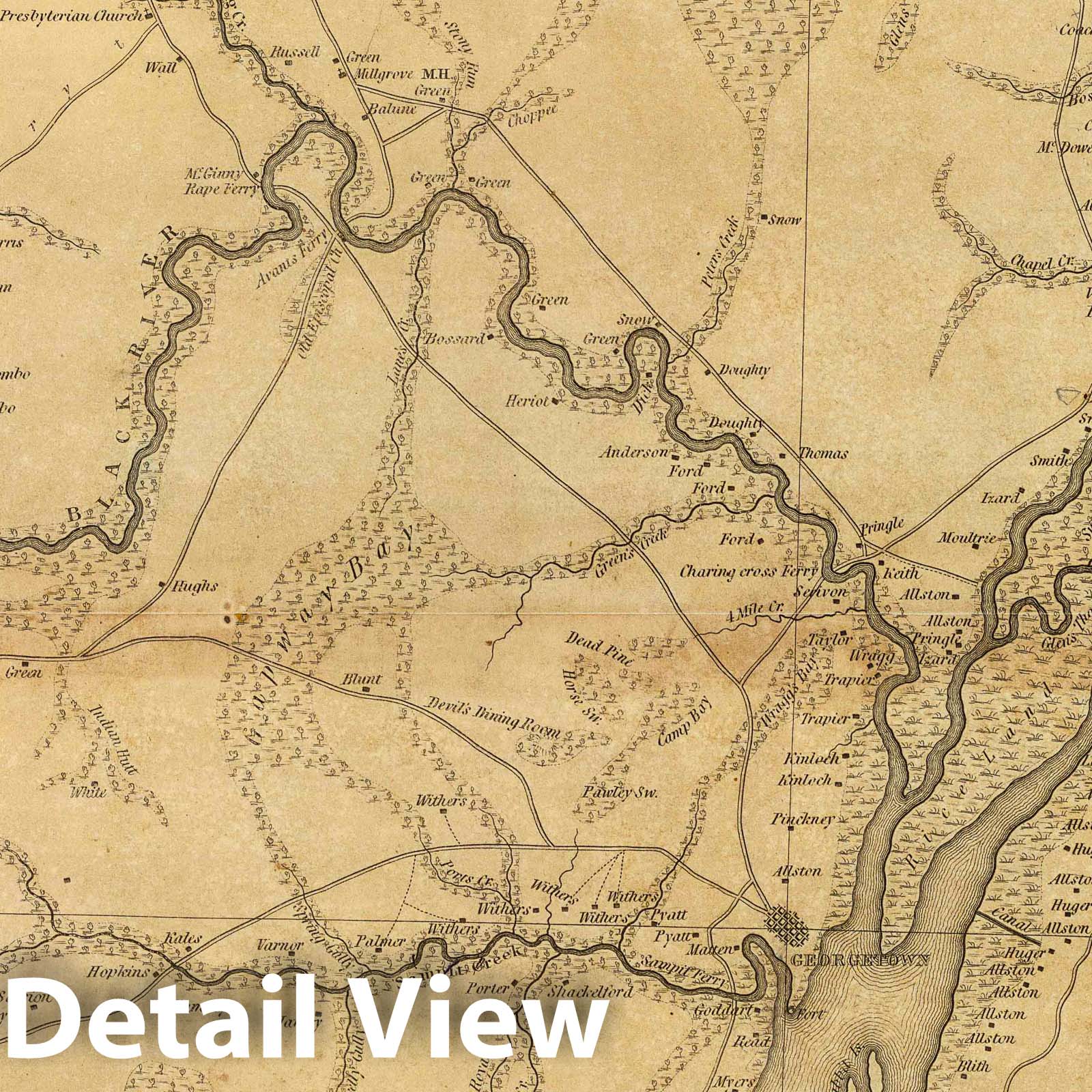 Historic Map : 1825 Georgetown District, South Carolina. - Vintage Wall Art