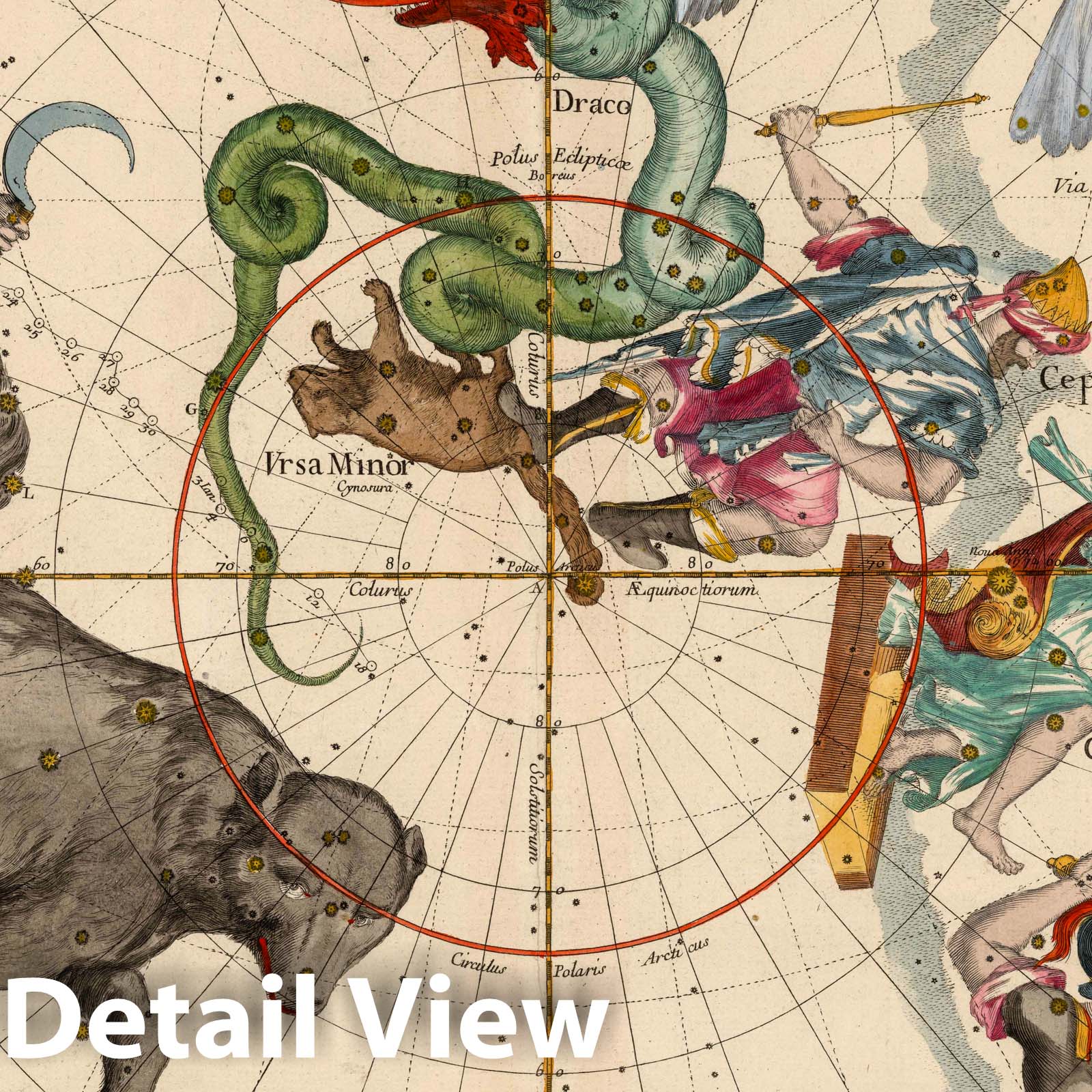 Ursa Major, Ursa Minor, and Perseus - Celestial Map, 1693