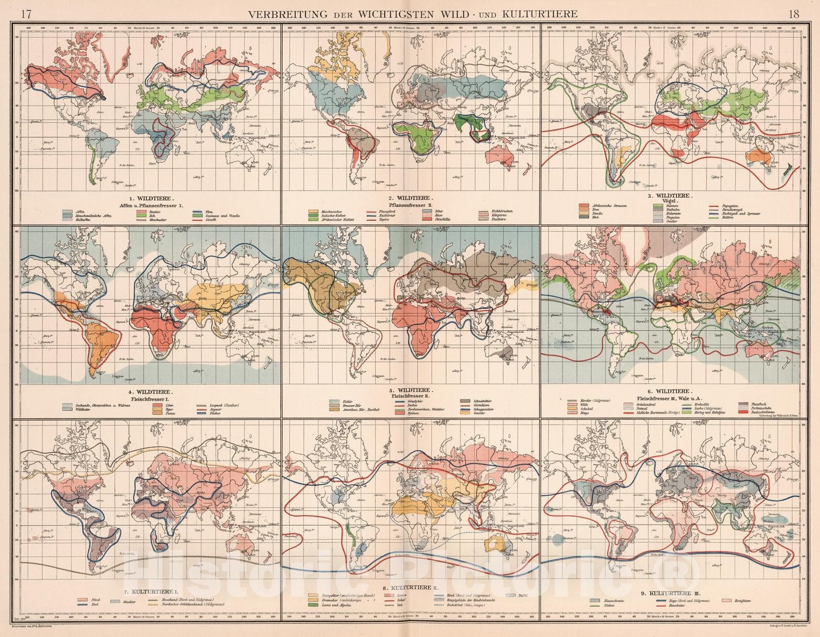 Historic Map : 1905 Verbreitung der Wichtigsten Wild- und Kulturtiere - Vintage Wall Art