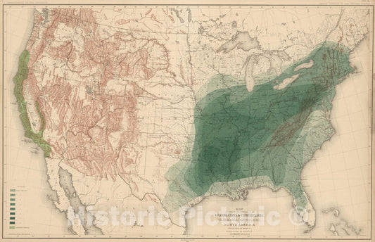 Historic Map : 1884 Distribution of the Genera Carya & Umbellularia [The Hickories & California Bay Laurel] in North America. - Vintage Wall Art