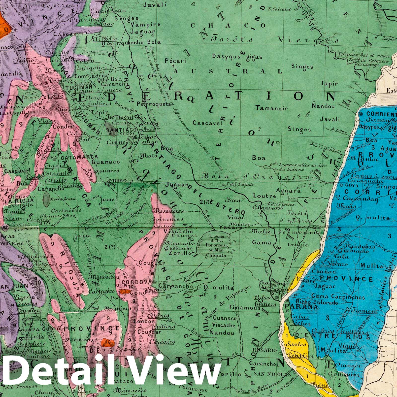 Argentina - Physical Map, 1873 - Historical Geological Map Print