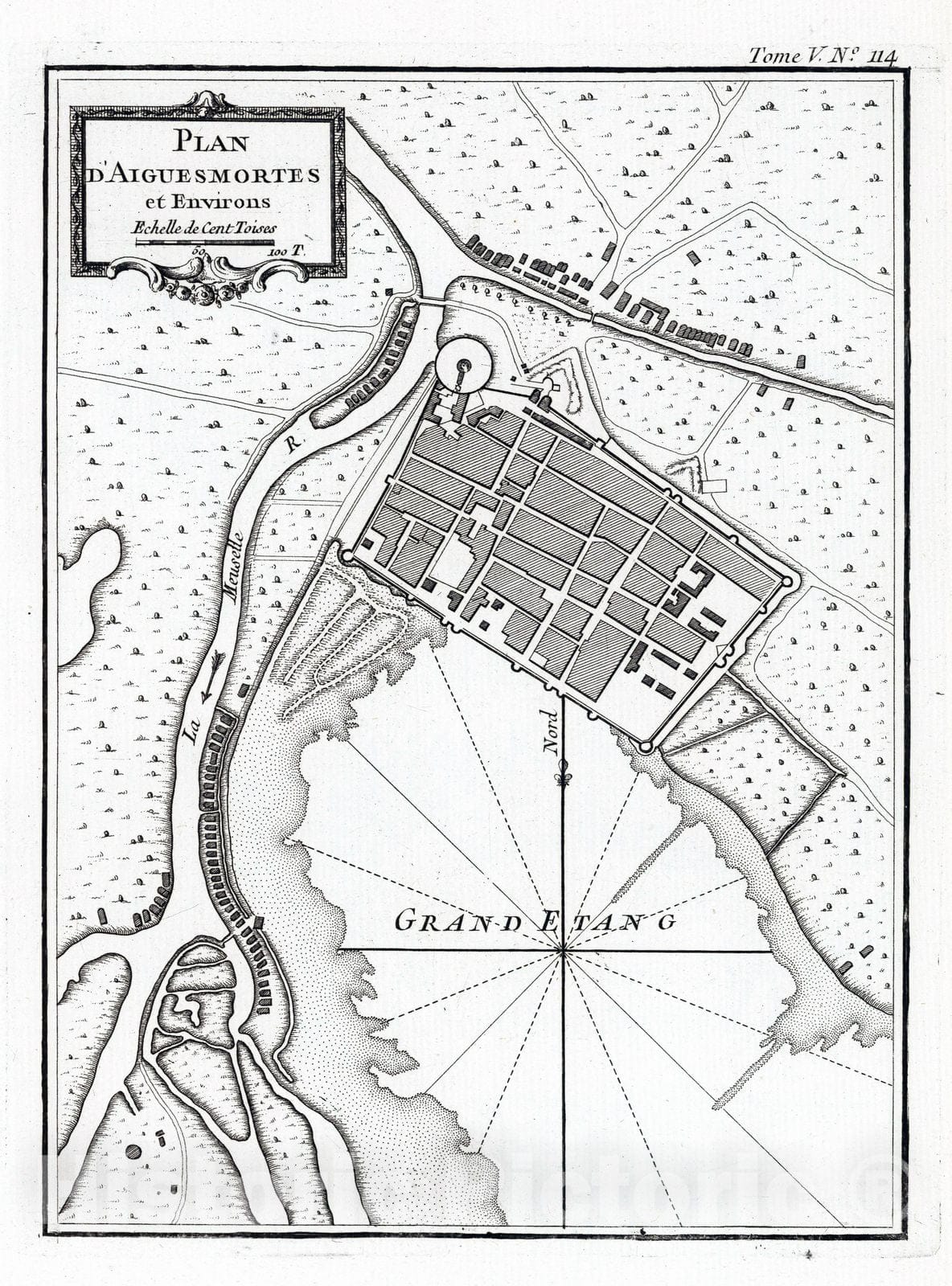Historic Map : France , Aigues-Mortes France, Languedoc 1764 Plan d'Aiguesmortes et environs. , Vintage Wall Art