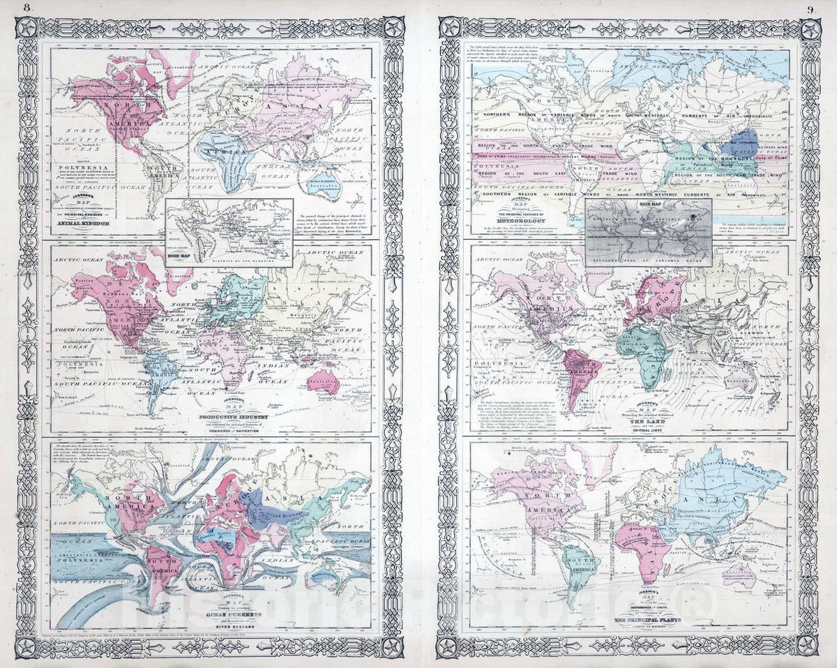 Johnson's World Thematic Map, 1865 - Historical Map Print