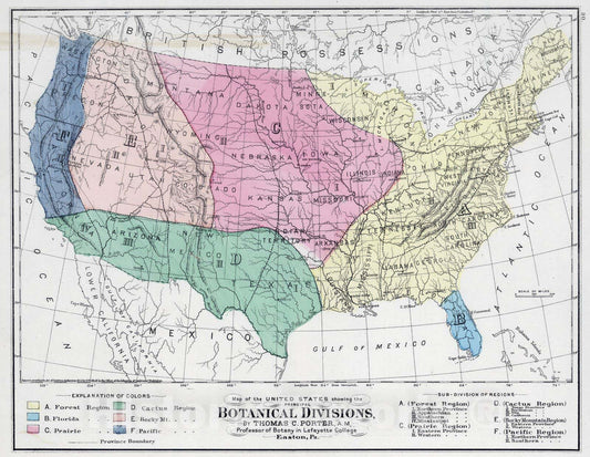 Historic Map : 1874 Botanical Divisions of the United States. - Vintage Wall Art