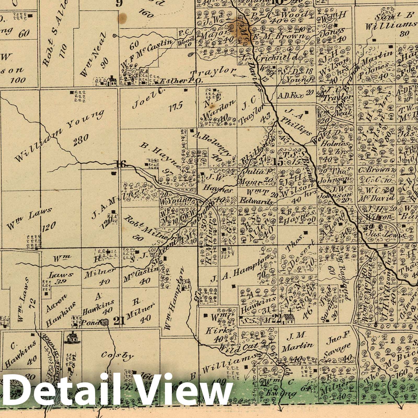 East Fork Township, Montgomery County, Illinois - Property Map, 1874