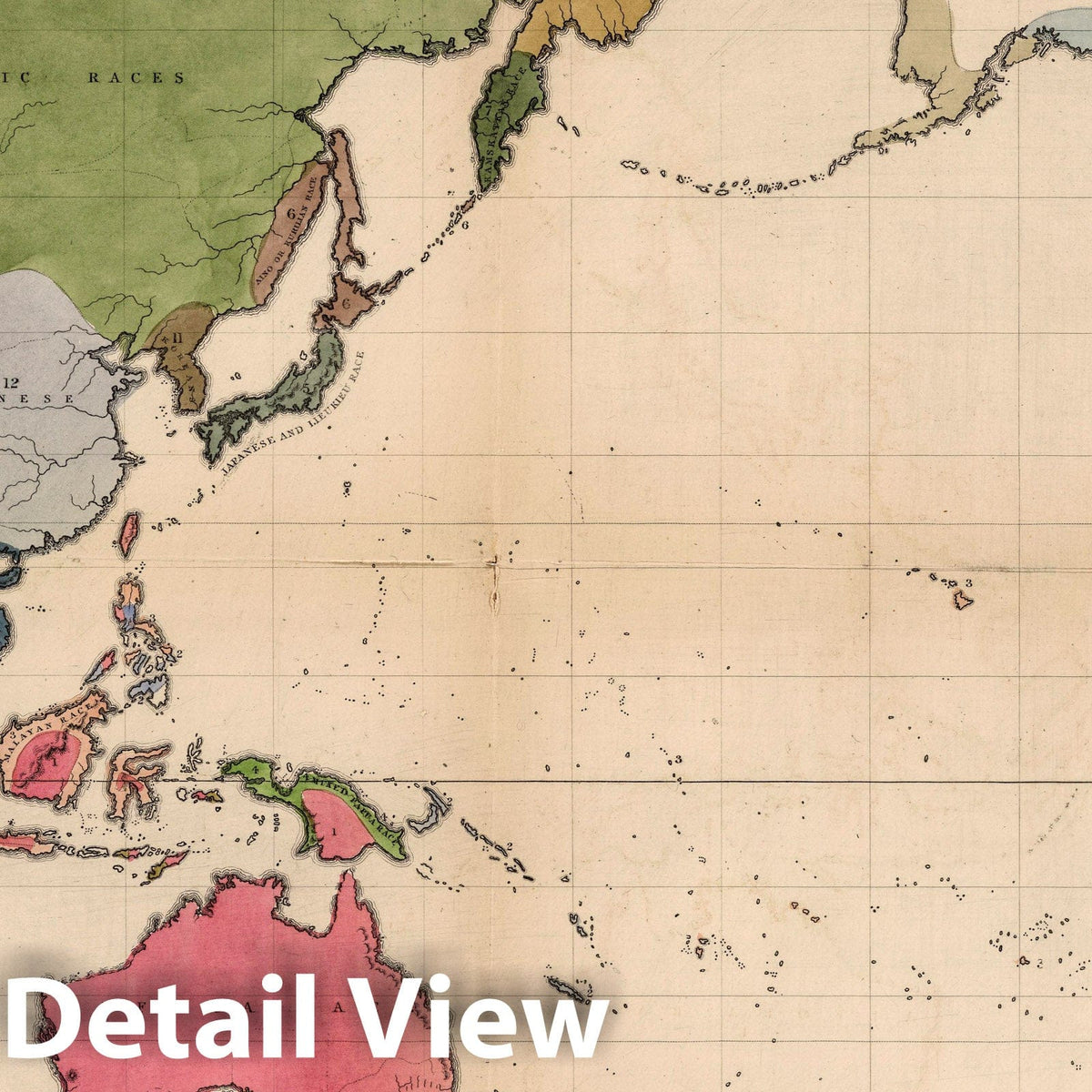 Polynesia - Physical Map, 1861 - Historical Ethnographic Map Print