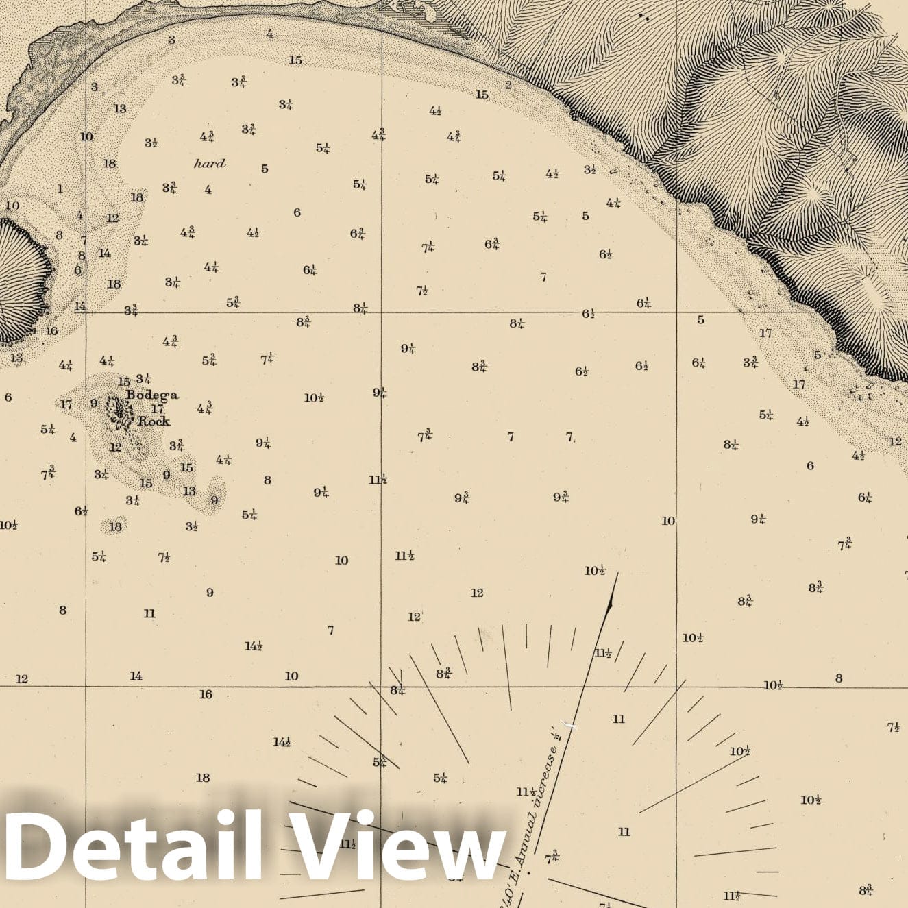 Bodega Bay, California - Nautical Chart, 1864 - Historical Map Print
