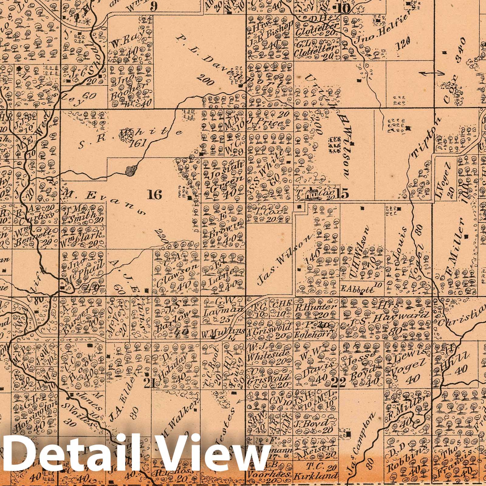 Grisham Township, Montgomery County, Illinois - Property Map, 1874