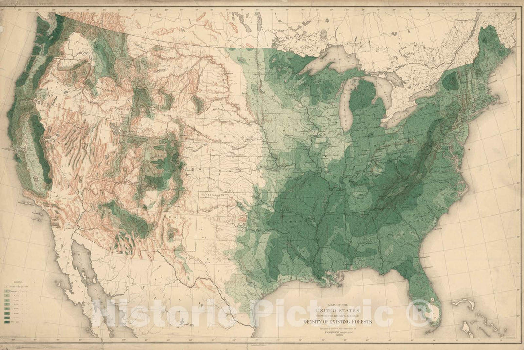 Historic Map : 1884 United States Showing The Relative Average Density of Existing Forests. - Vintage Wall Art