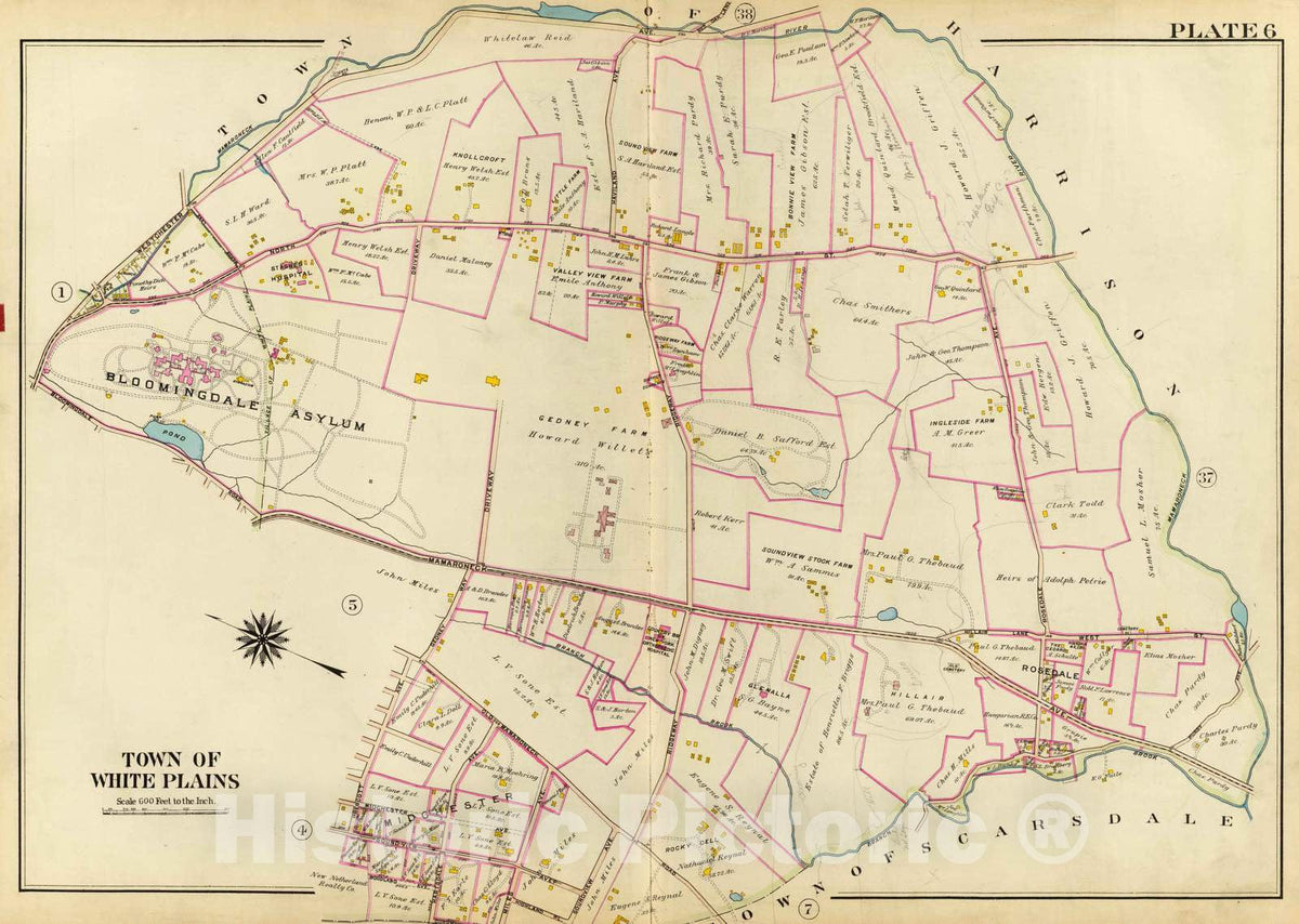 Historic Map : 1910 White Plains. - Vintage Wall Art