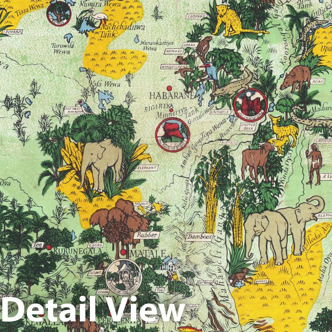 Sri Lanka - Pictorial Map, 1933 - Historical Map Print