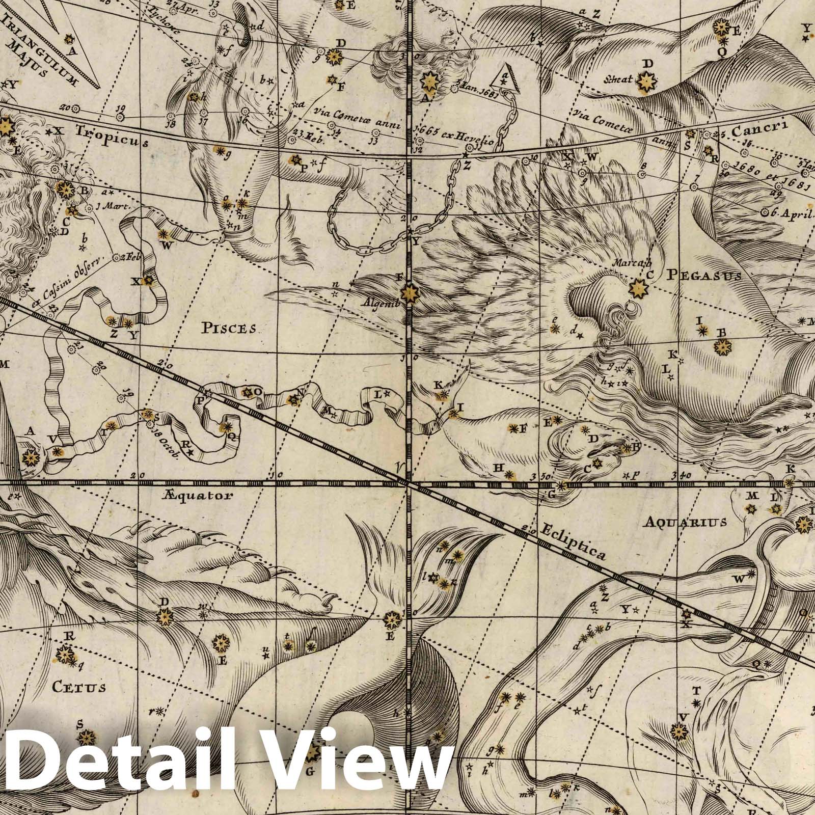 Celestial Globes and Constellations - Celestial Map, 1730