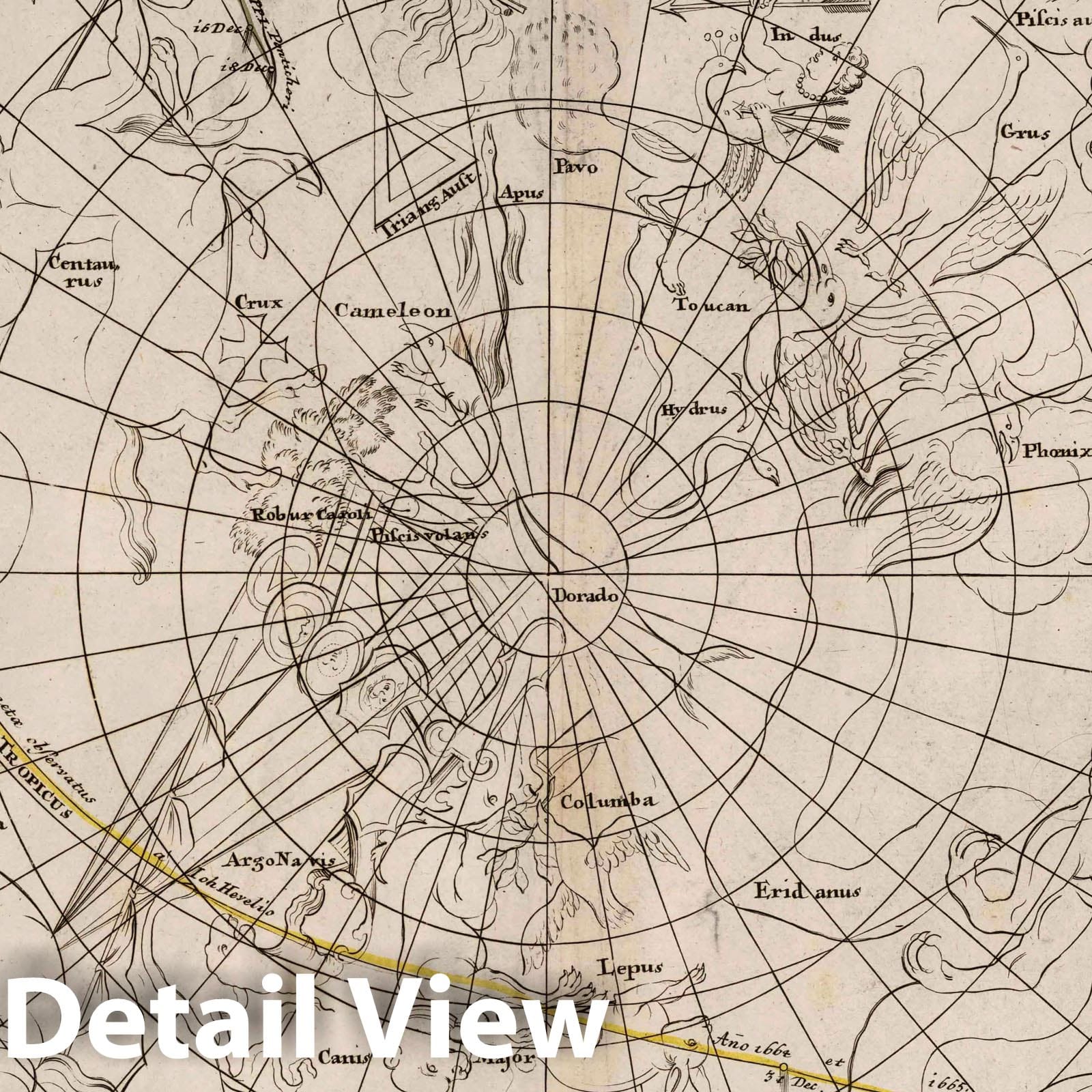Southern Hemisphere - Celestial Map, 1742 - Doppelmayr Comet Chart