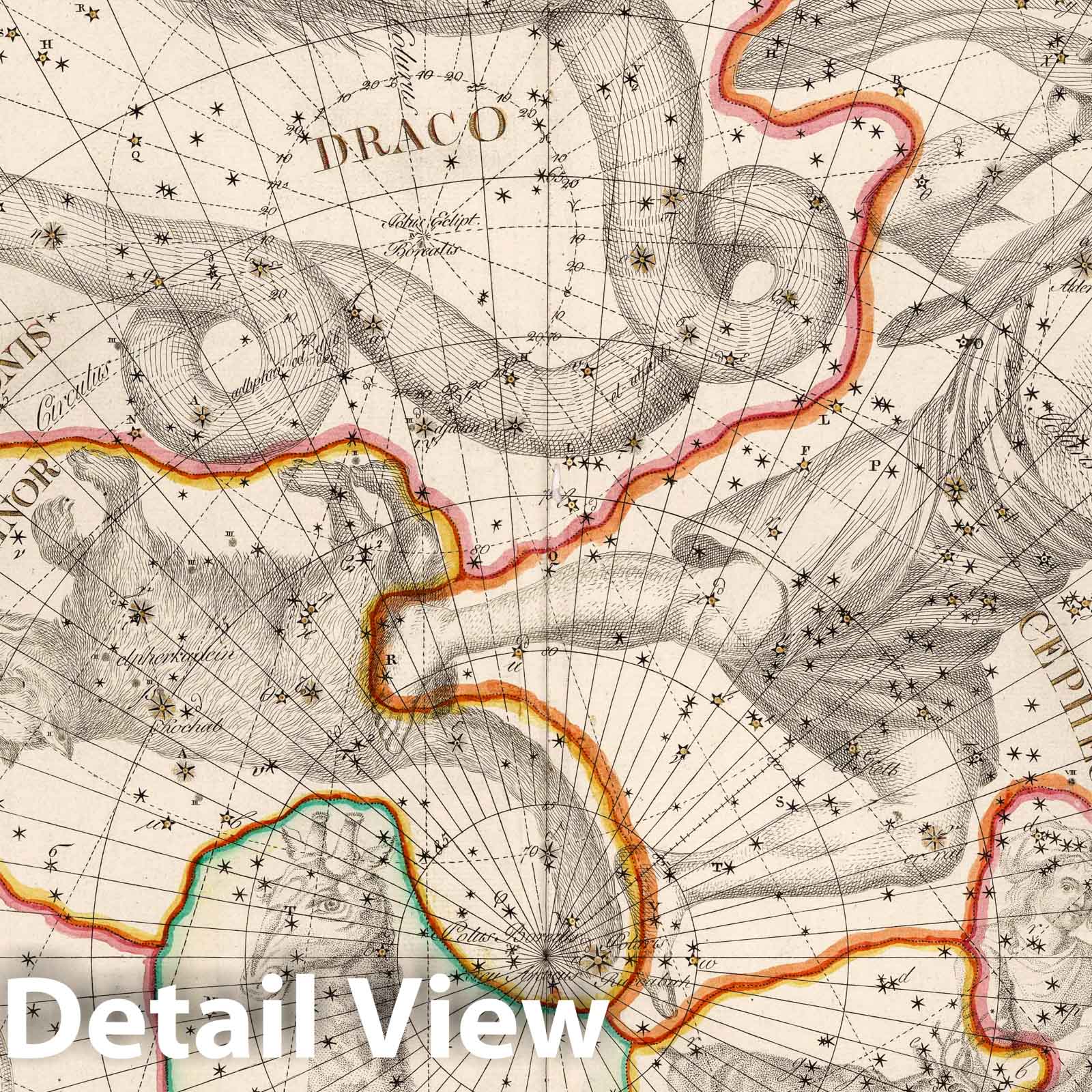 Ursa Minor - Celestial Map, 1801 - Historical Star Chart Print