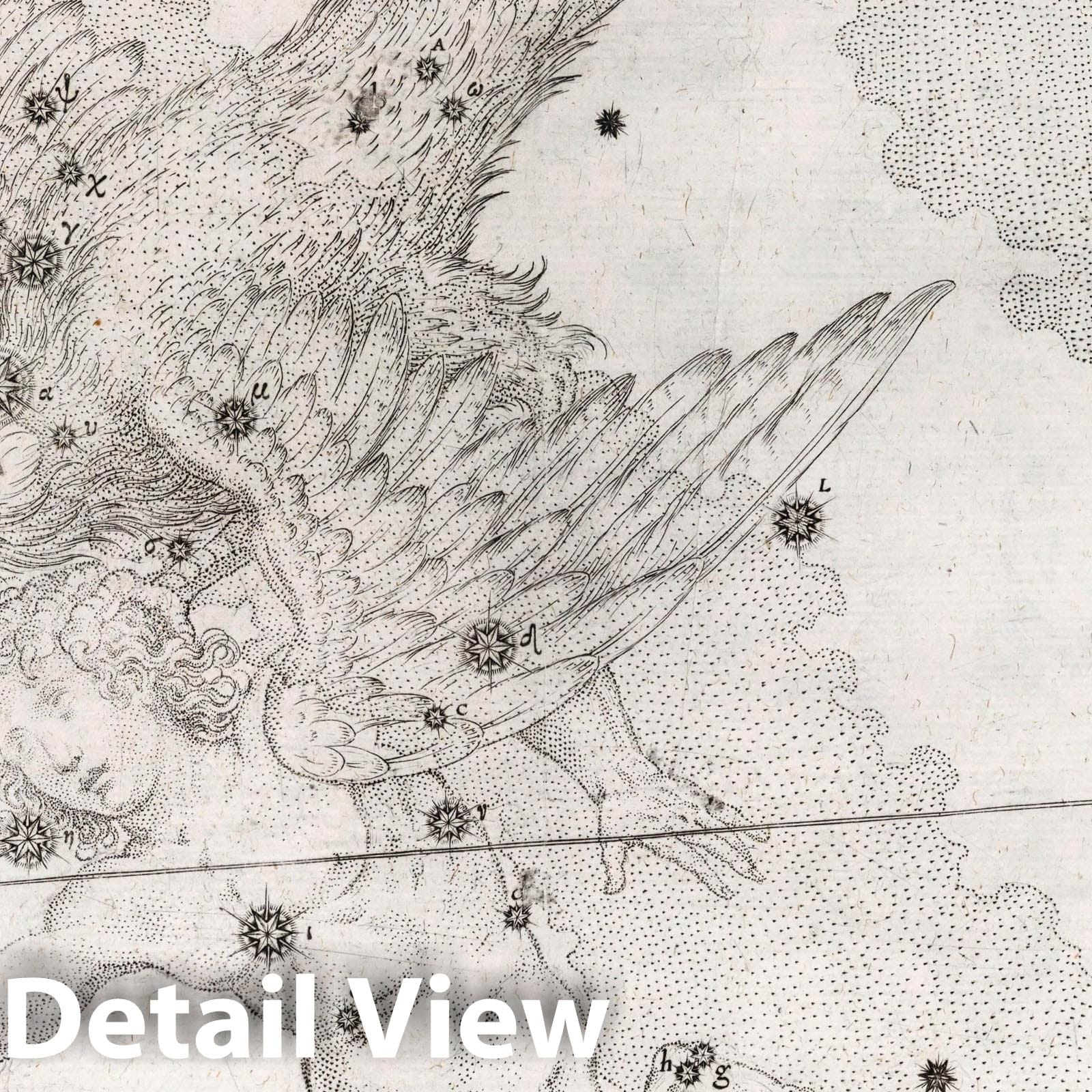 Aquila - Celestial Map, 1655 - Historical Constellation Chart Print