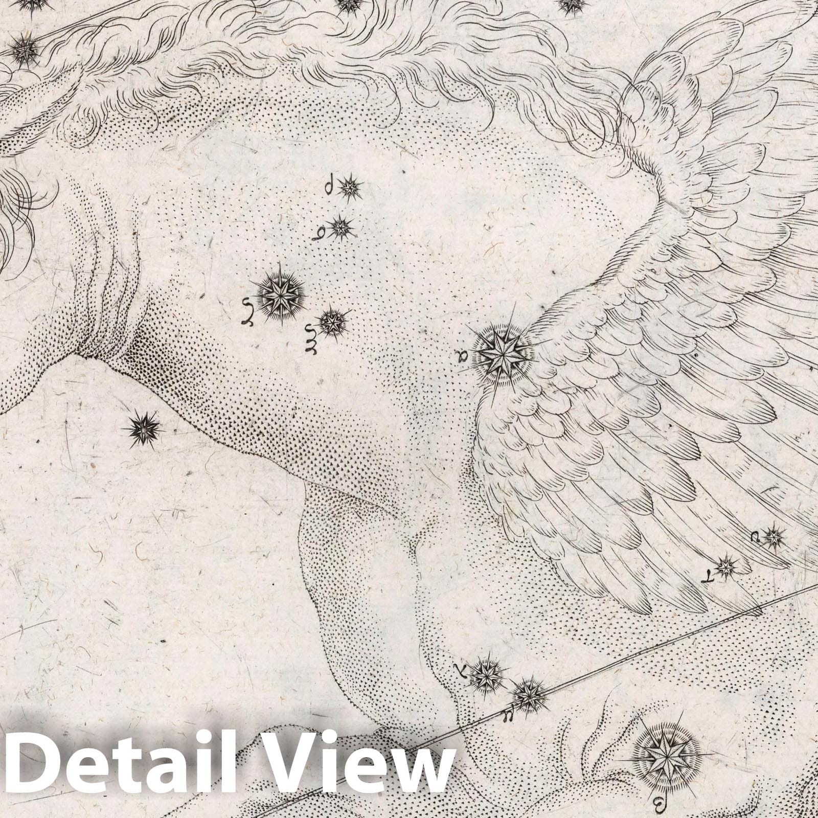Pegasus, the Winged Horse - Celestial Map, 1655 - Historical Star Chart Print