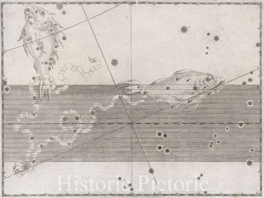 Historic Map : Constellation: Pisces, The Fish, 1655 Celestial Atlas - Vintage Wall Art