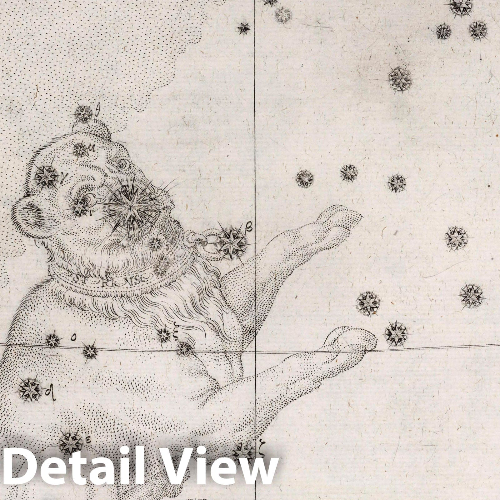 Canis Major (Big Dog) Celestial Map 1655 - Historical Constellation Chart Print