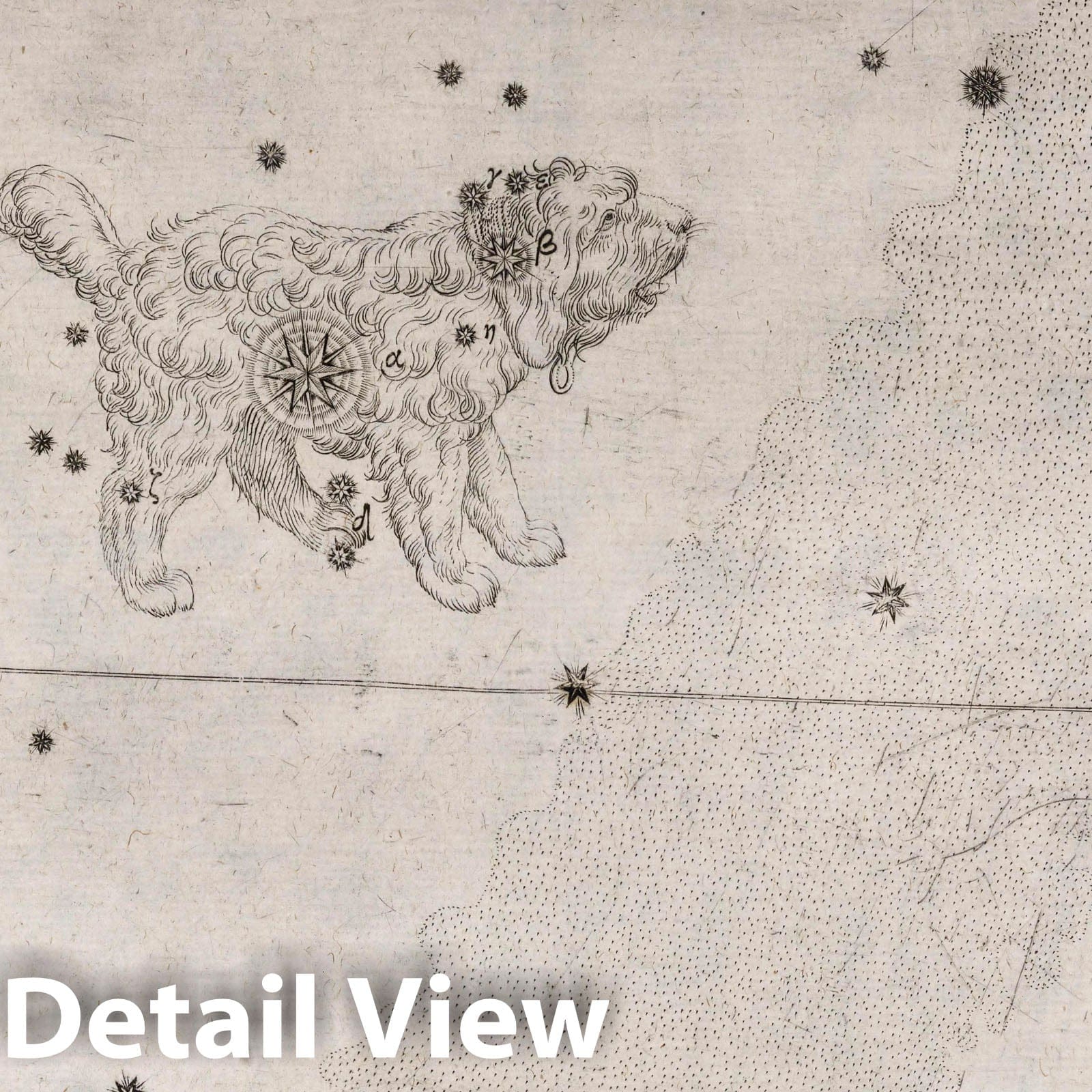 Canis Minor - Celestial Map, 1655 - Historical Star Chart Print