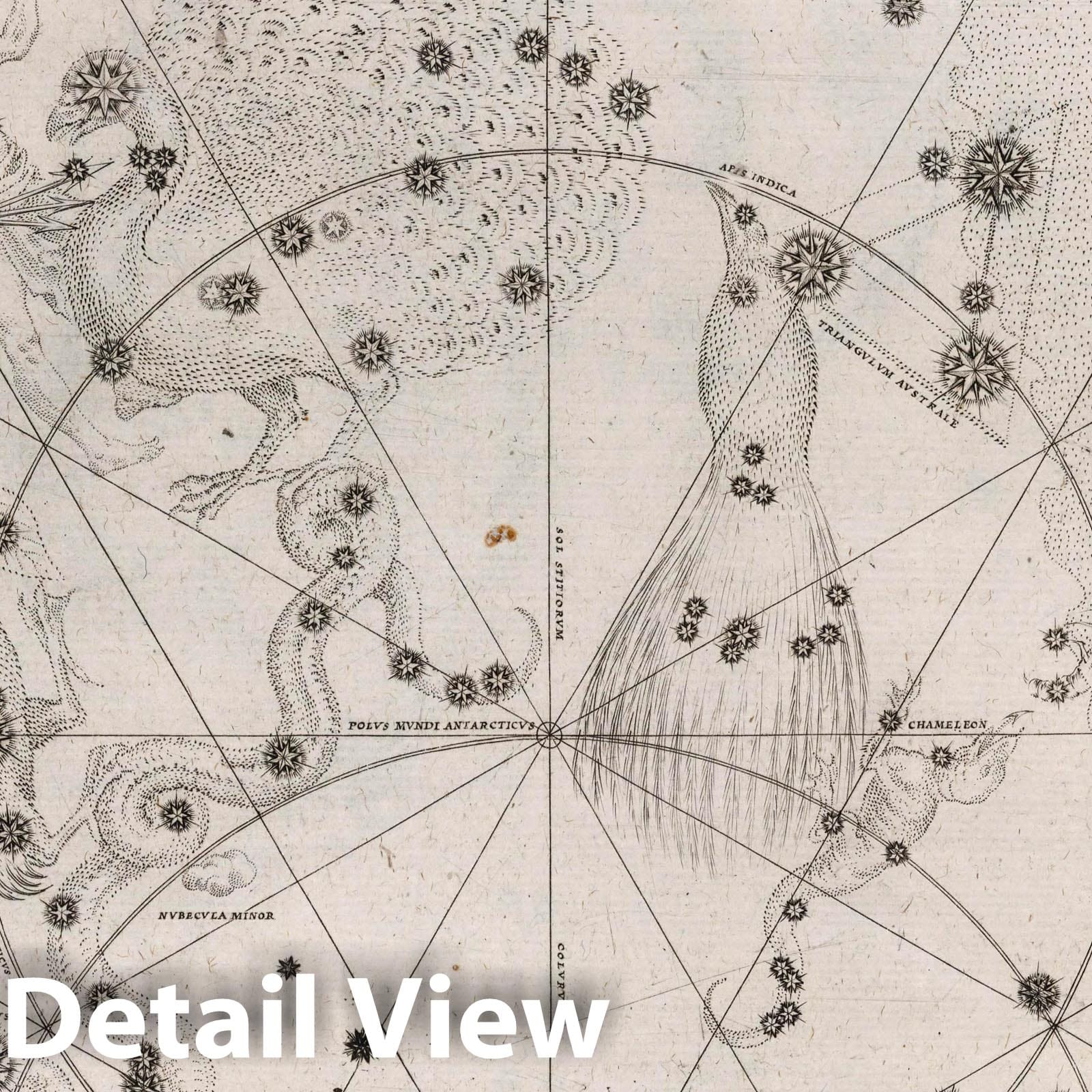 Southern Constellations - Celestial Map, 1655 - Historical Star Chart Print