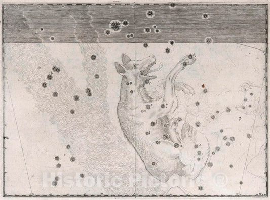 Historic Wall Map : Constellation: Lupus, The Wolf, 1655 Celestial Atlas - Vintage Wall Art