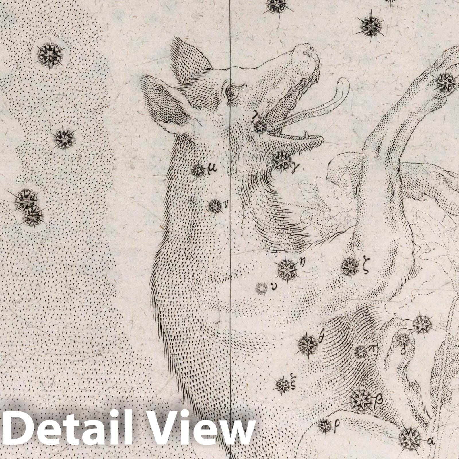 Lupus Constellation - Celestial Map, 1655 - Historical Star Chart Print