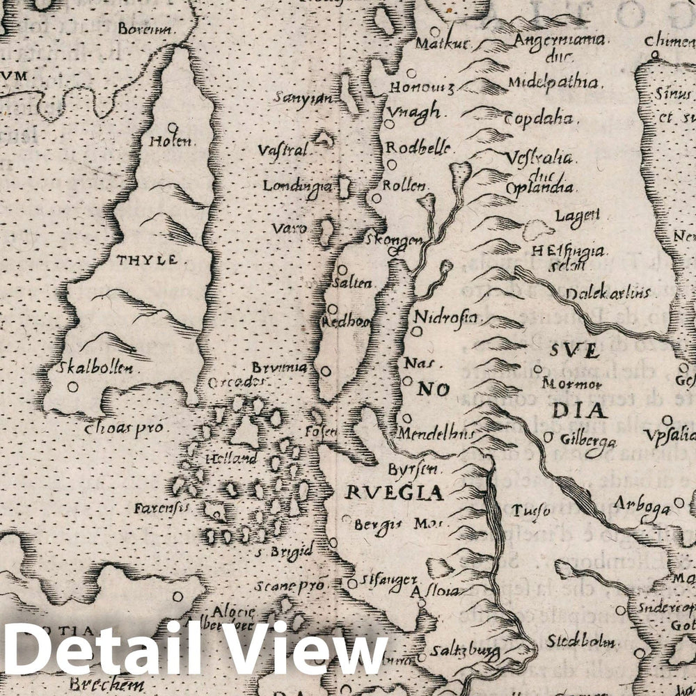 Historic Wall Map : Europe, Northern Schonlandia Nuova. Descrittione Della polonia. Libro Primo, 1599 Atlas , Vintage Wall Art