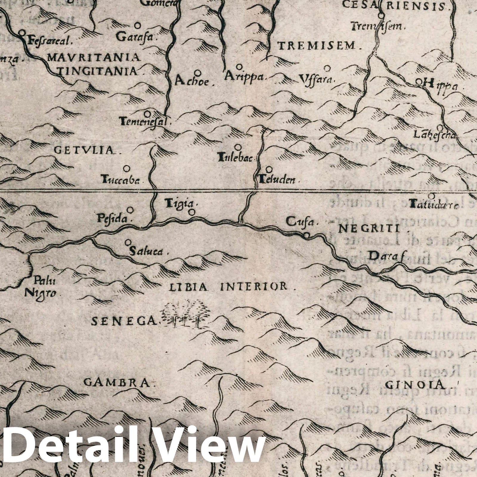 West Africa and North Africa - Nautical Chart, 1599 - Historical Map Print