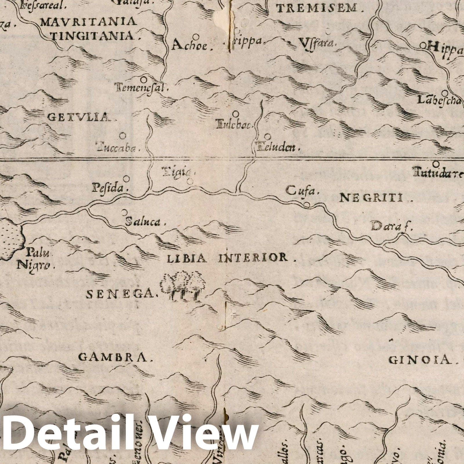 West Africa and North Africa - Nautical Chart, 1561 - Historical Map Print