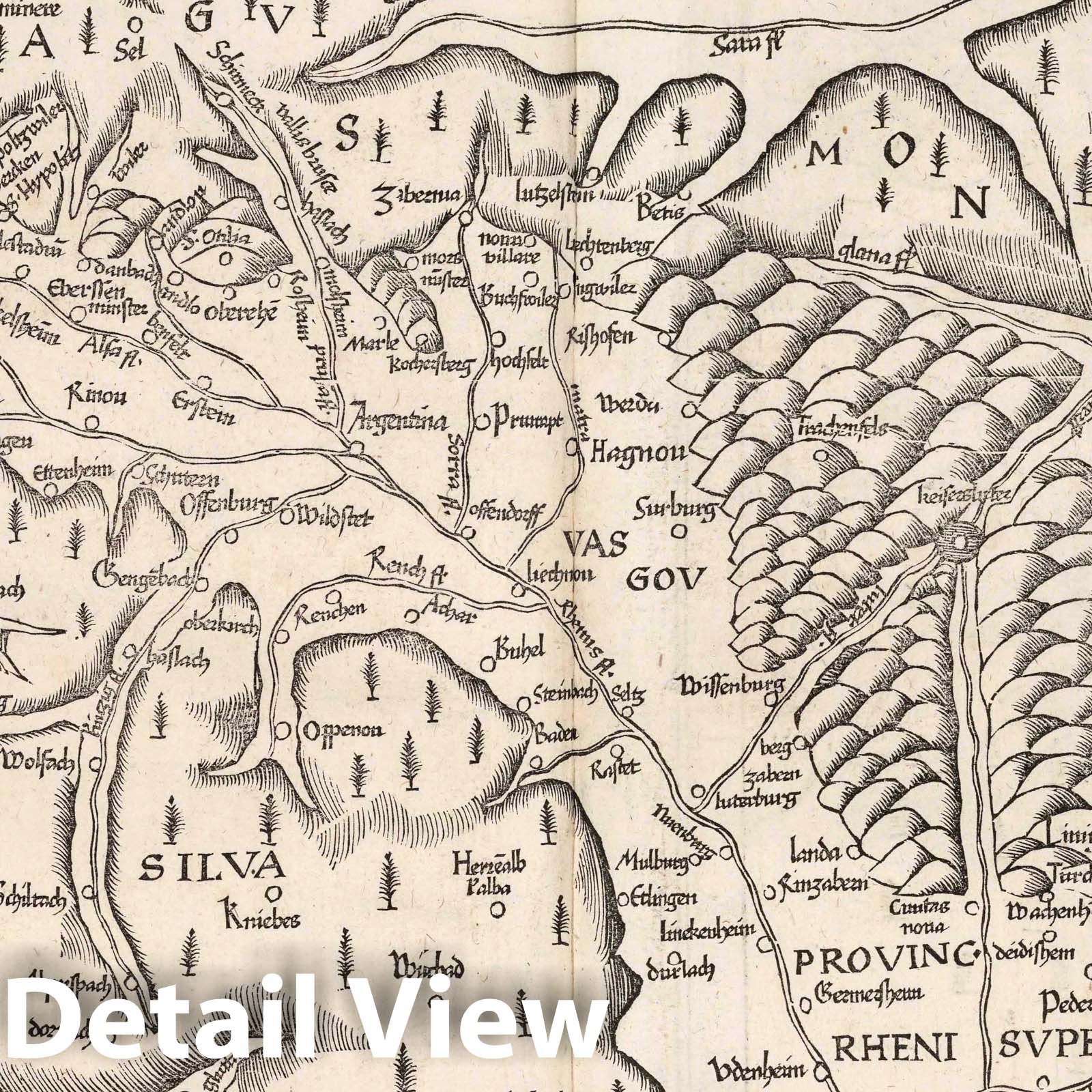 Rhine River Valley, 1541 - Historical Map Reproduction