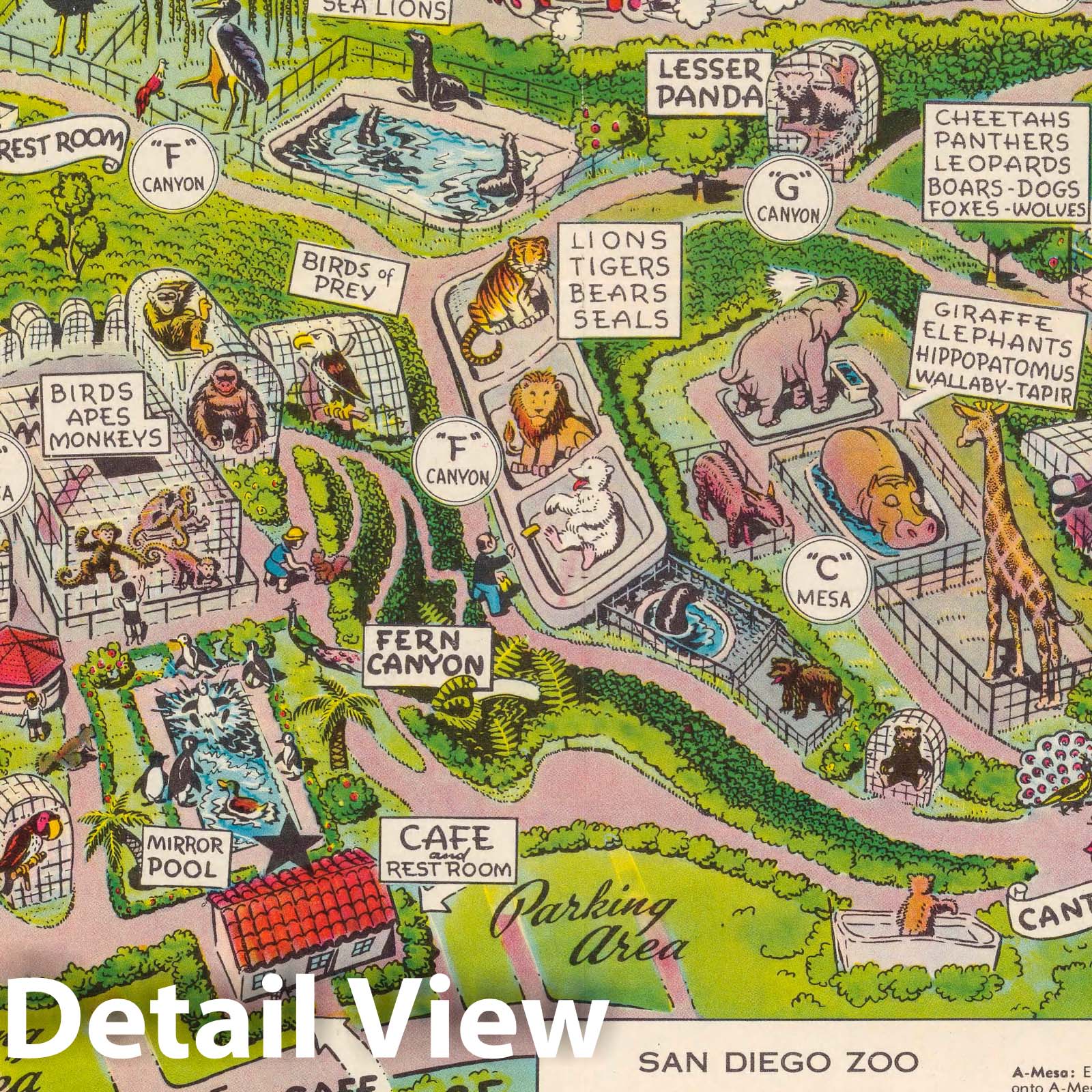 San Diego Zoo - Pictorial Map, 1947 - Historical Map Print