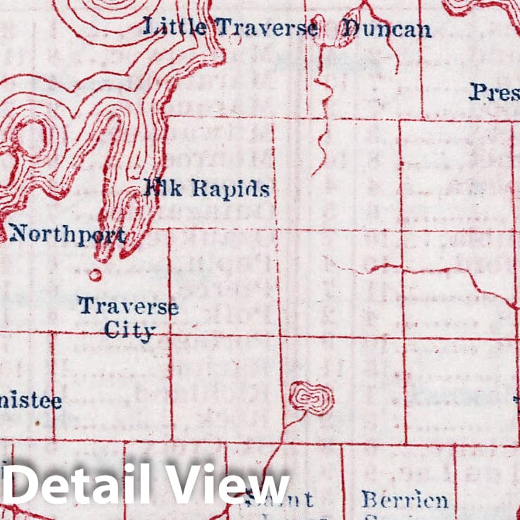 Michigan - County Seats, 1866 - Historical Map Print