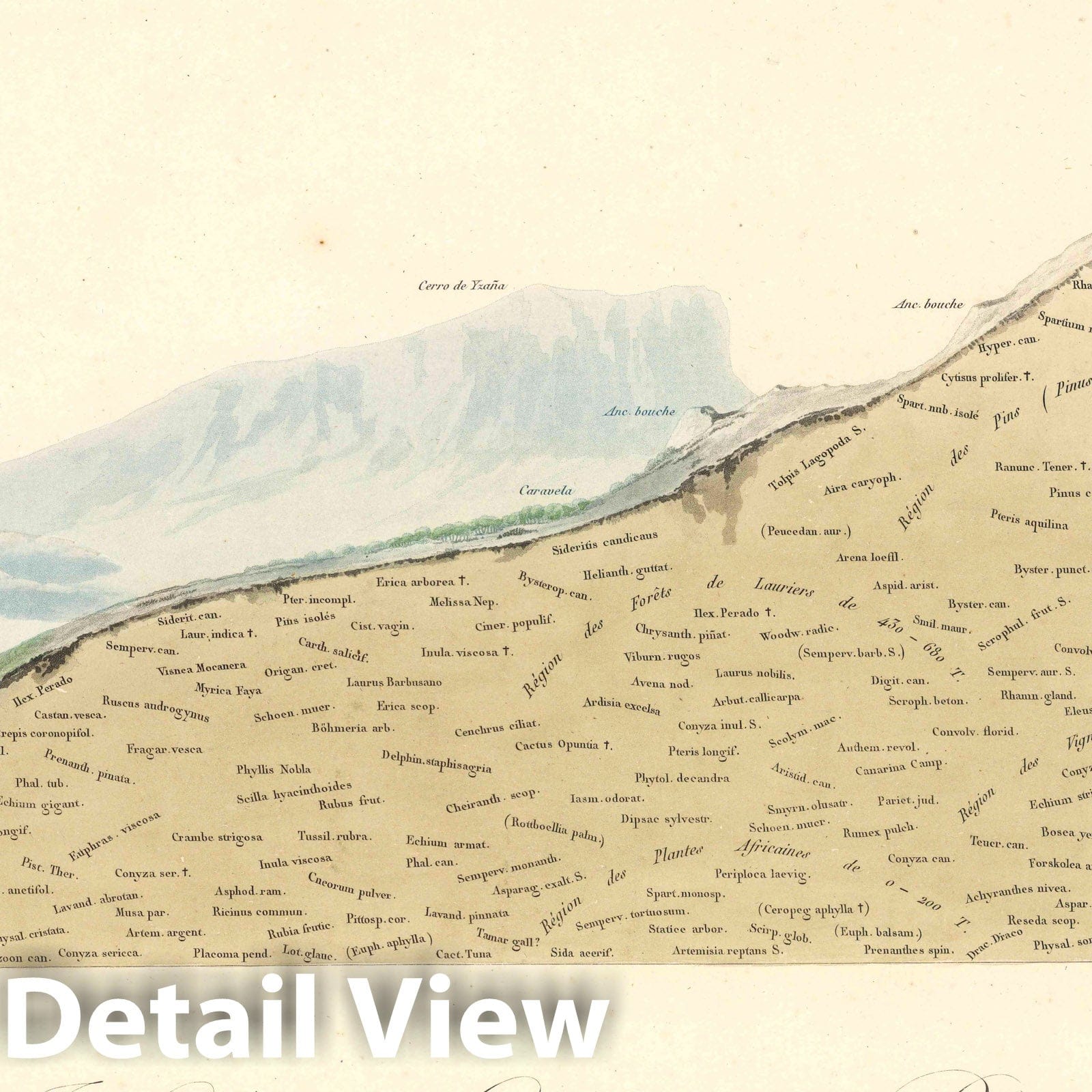 Canary Islands - Nautical Chart, 1817 - Historical Map Print