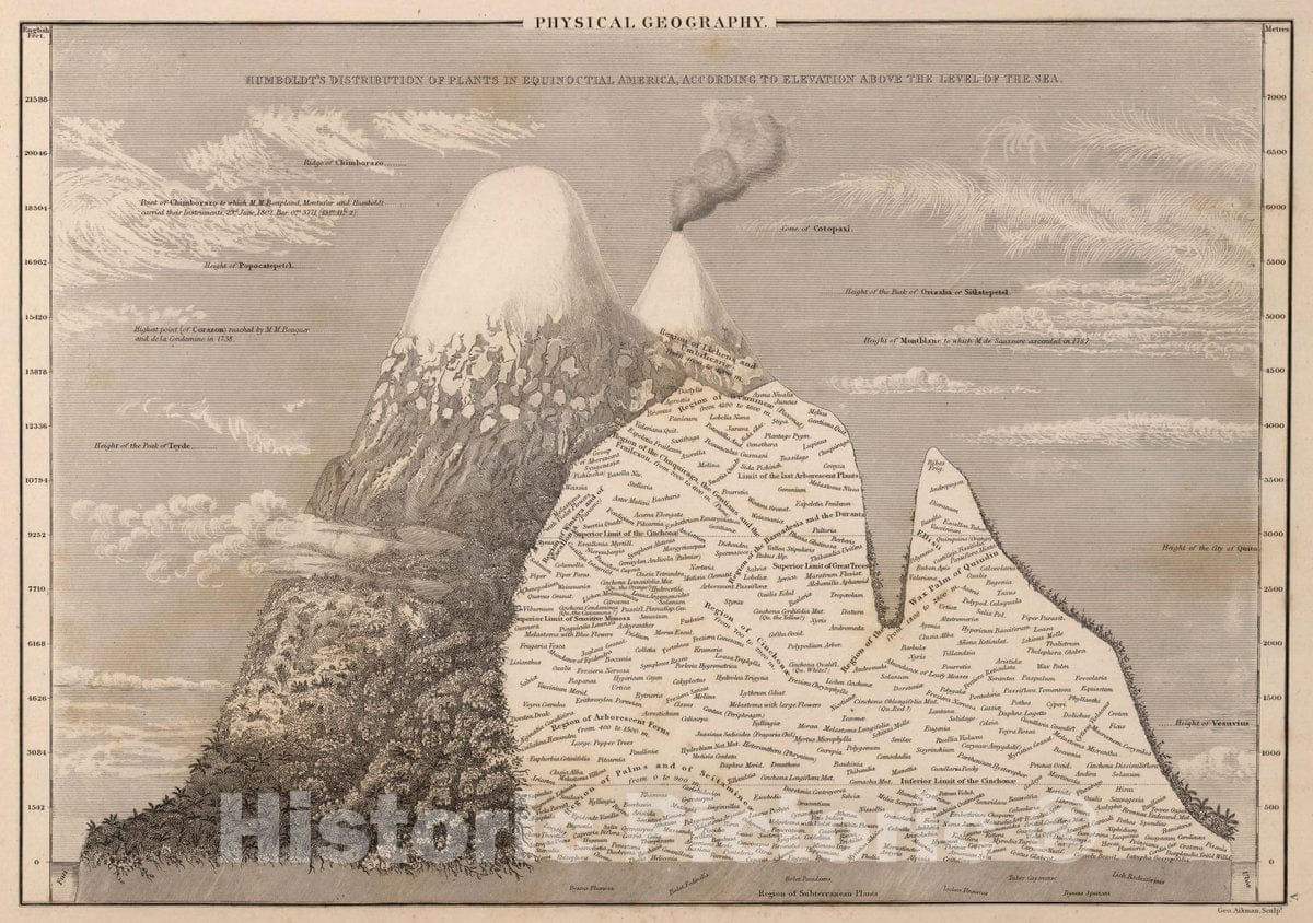 Historic Map : Humboldt's Distribution of Plants in Equinoctial America, 1841 Atlas - Vintage Wall Art