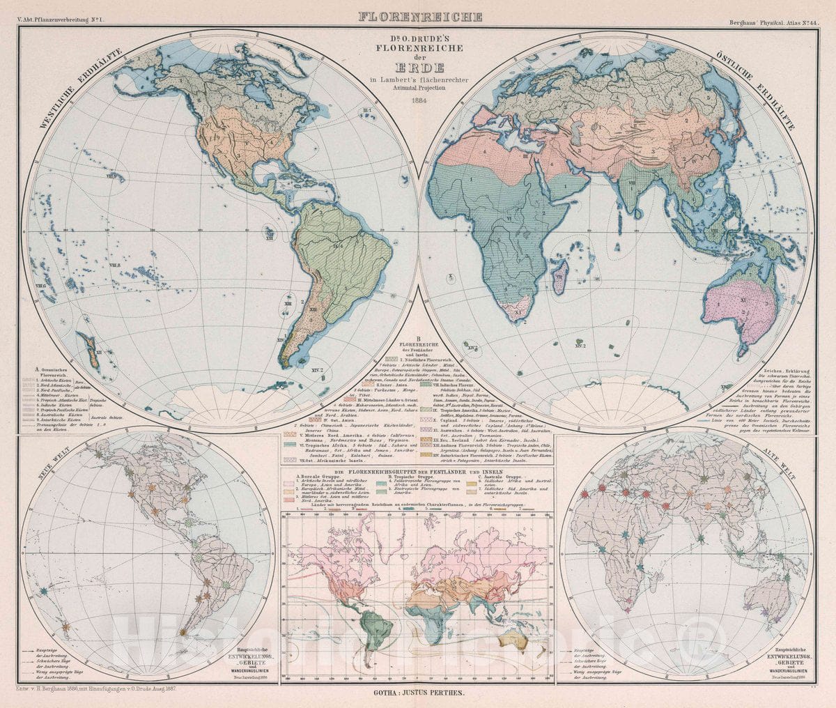 Historic Map : Flotrntriche : Drude's florenreiche der Erde, 1887 Atlas - Vintage Wall Art