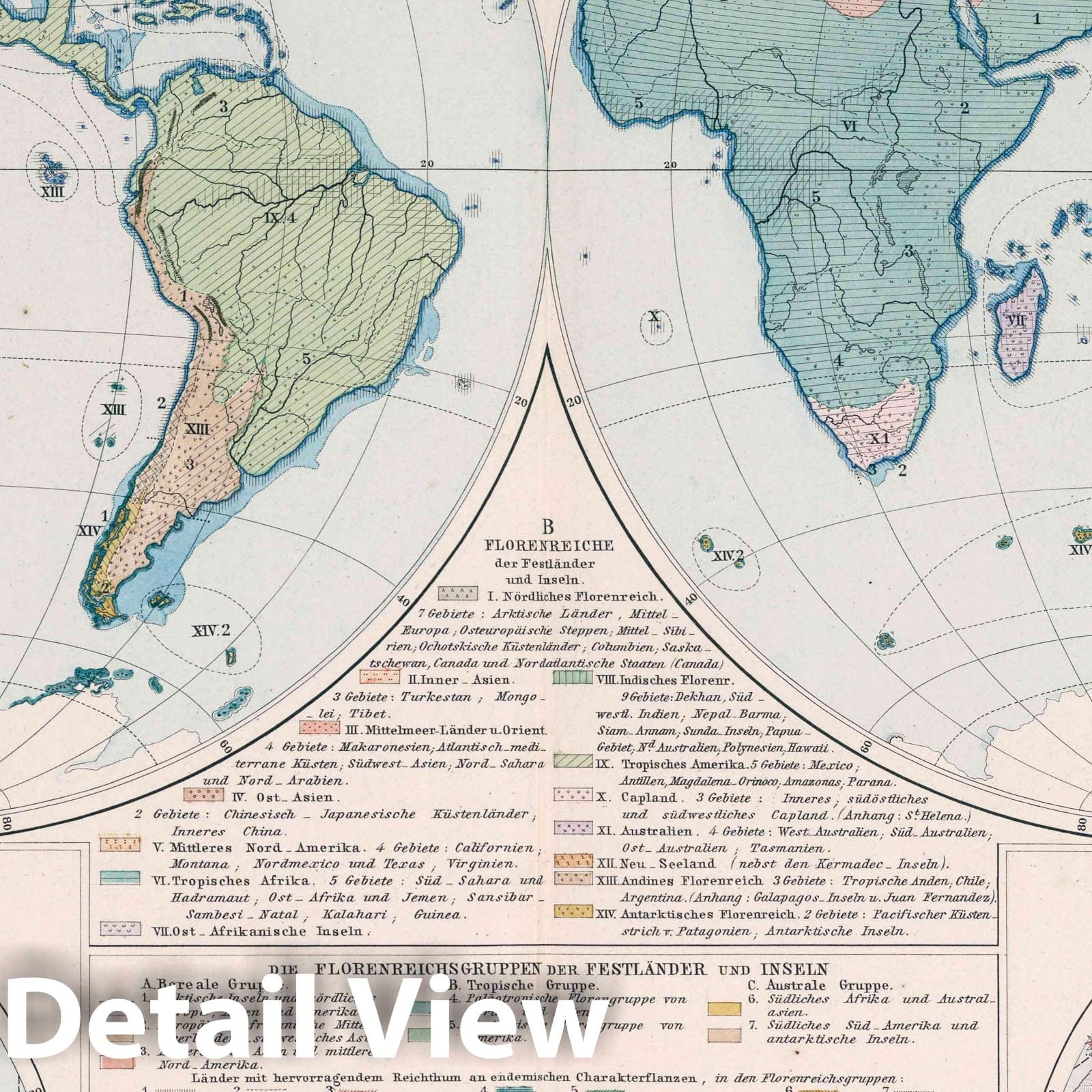 Floral Regions of the Earth - Geologic Map, 1887 - Historical Map Print