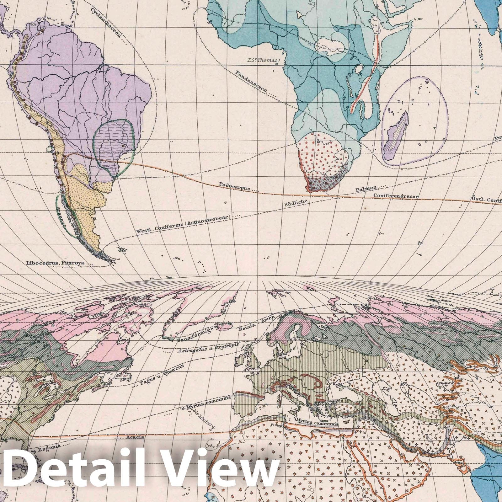 World Plant Distribution - Geologic Map, 1886 - Berghaus' Atlas Historical Map Print