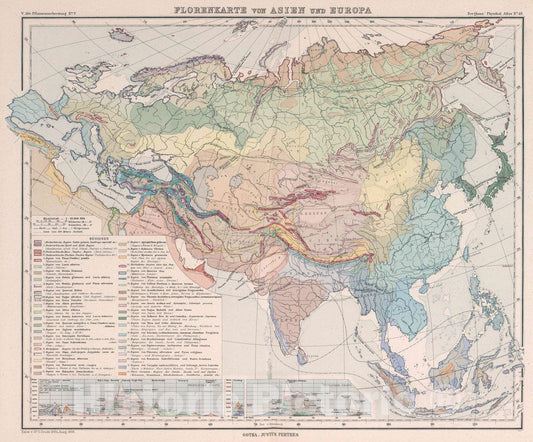Historic Wall Map : Florenkarte von Asien und Europa, 1886 Atlas - Vintage Wall Art